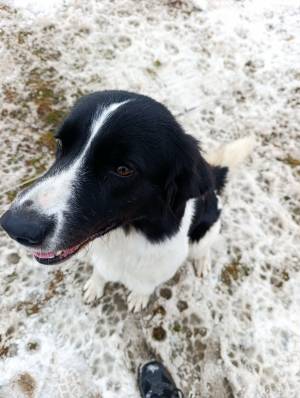 Zásadský sprint/mid 2026