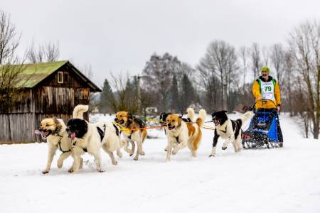 Zásadský sprint/mid 2026