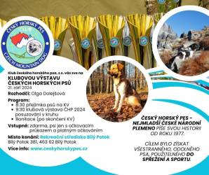 Klubová výstava českého horského psa 2024