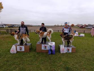 MČR a Šampionát v mushingových disciplínách 1.-...